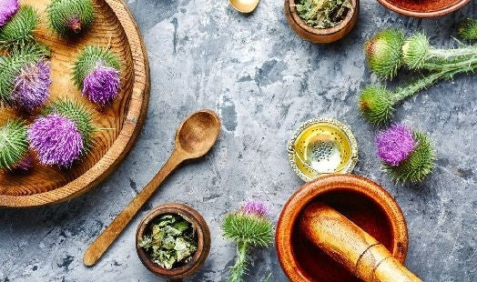 Chardon marie : propriétés et bienfaits Nutrimea