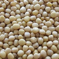 L-Cystine Nutrimea