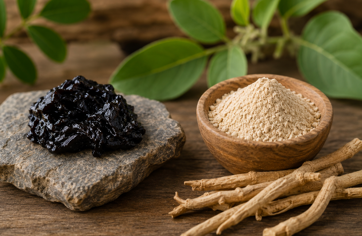Shilajit vs Ashwagandha : que choisir ?