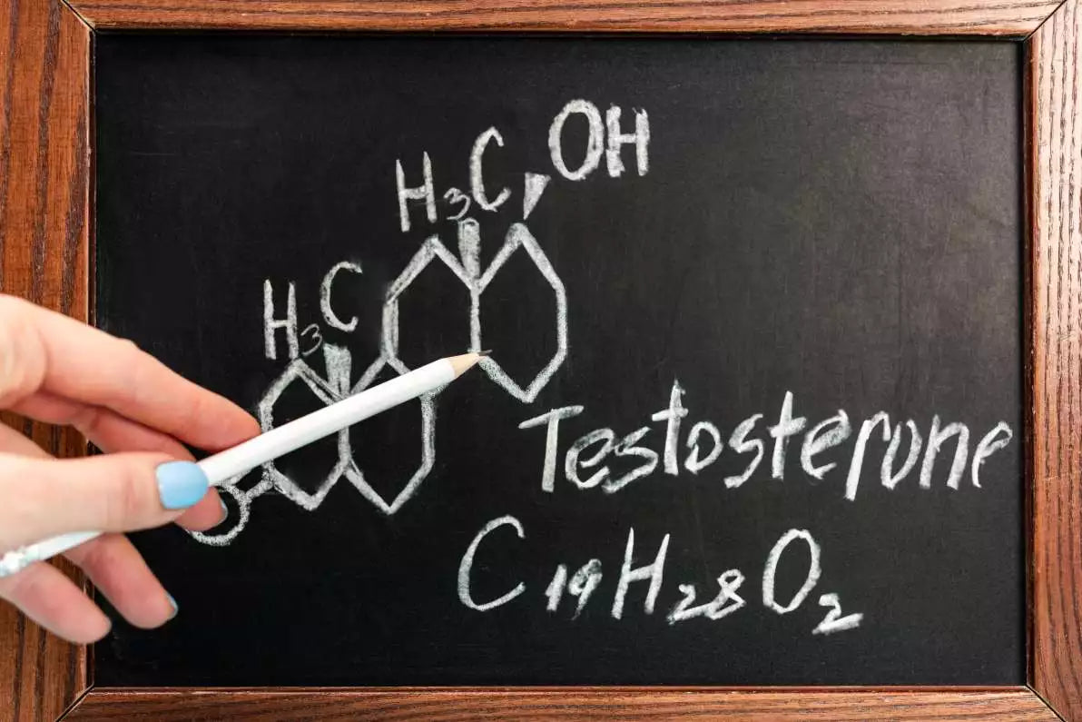 La maca : un booster de testostérone ?