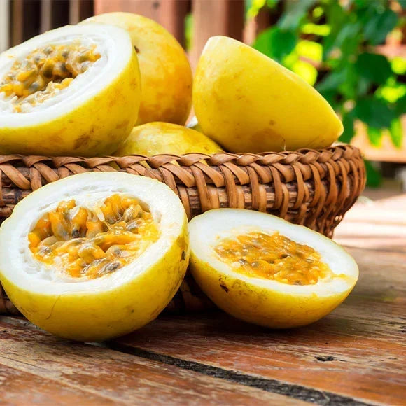 Maracuja