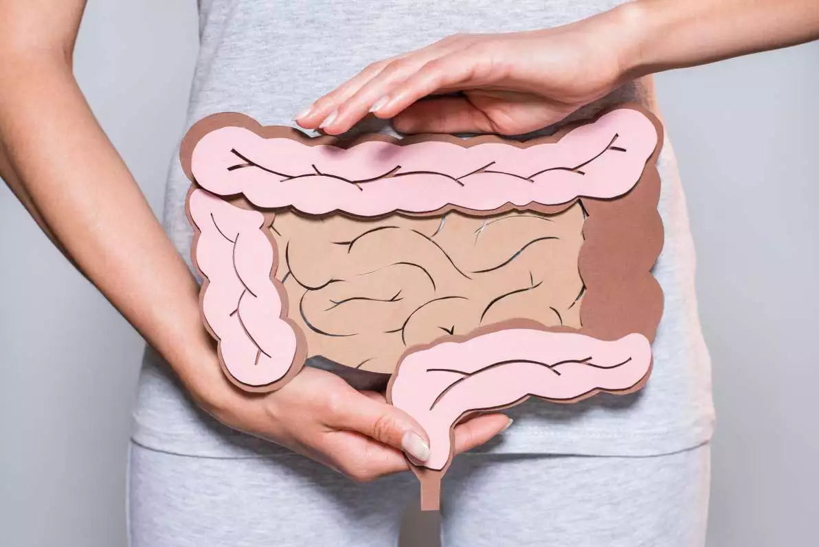 L’huile d’onagre est-elle bénéfique pour la santé intestinale ?