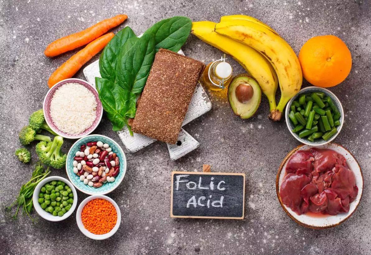 Tout savoir sur l'acide folique : avantages, aliments et suppléments