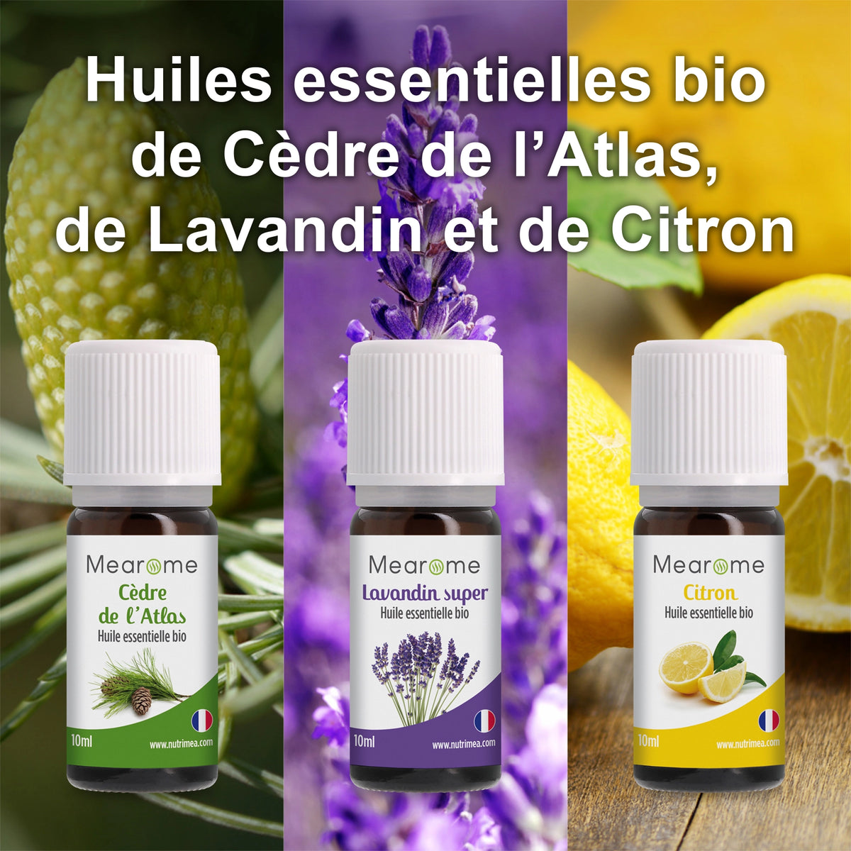 Coffret Plénitude - 8 Huiles Essentielles BIO