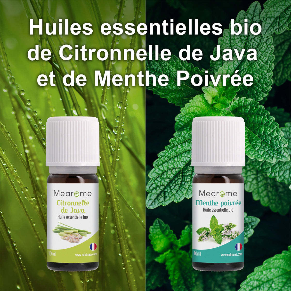 COFFRET PLENITUDE NL