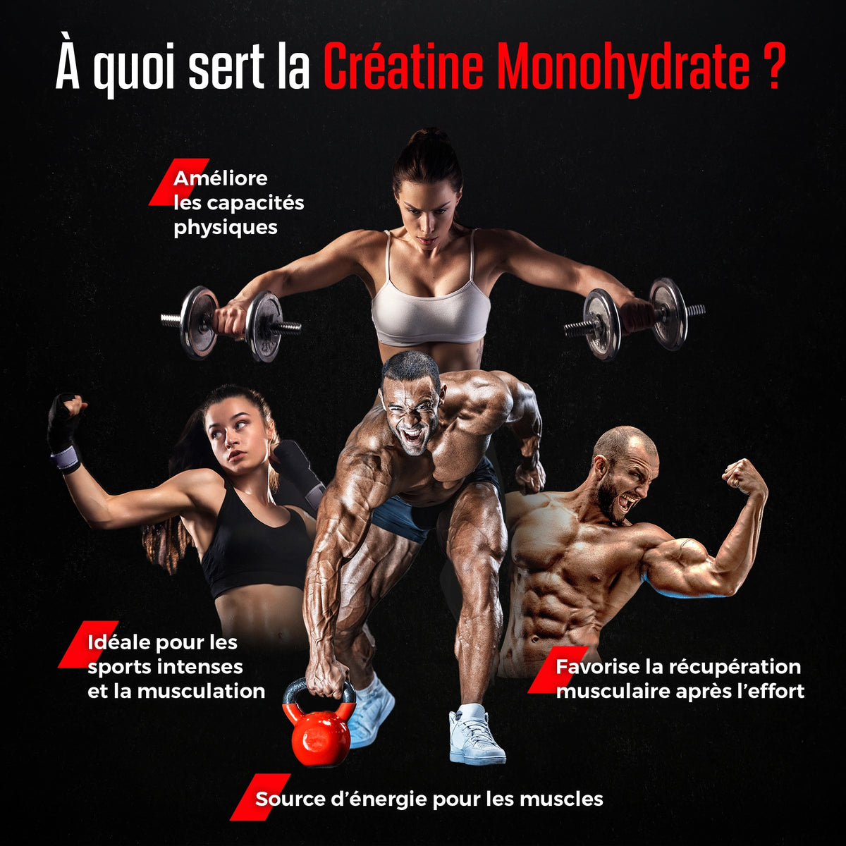 Créatine Monohydrate Creapure® en Poudre 500 g