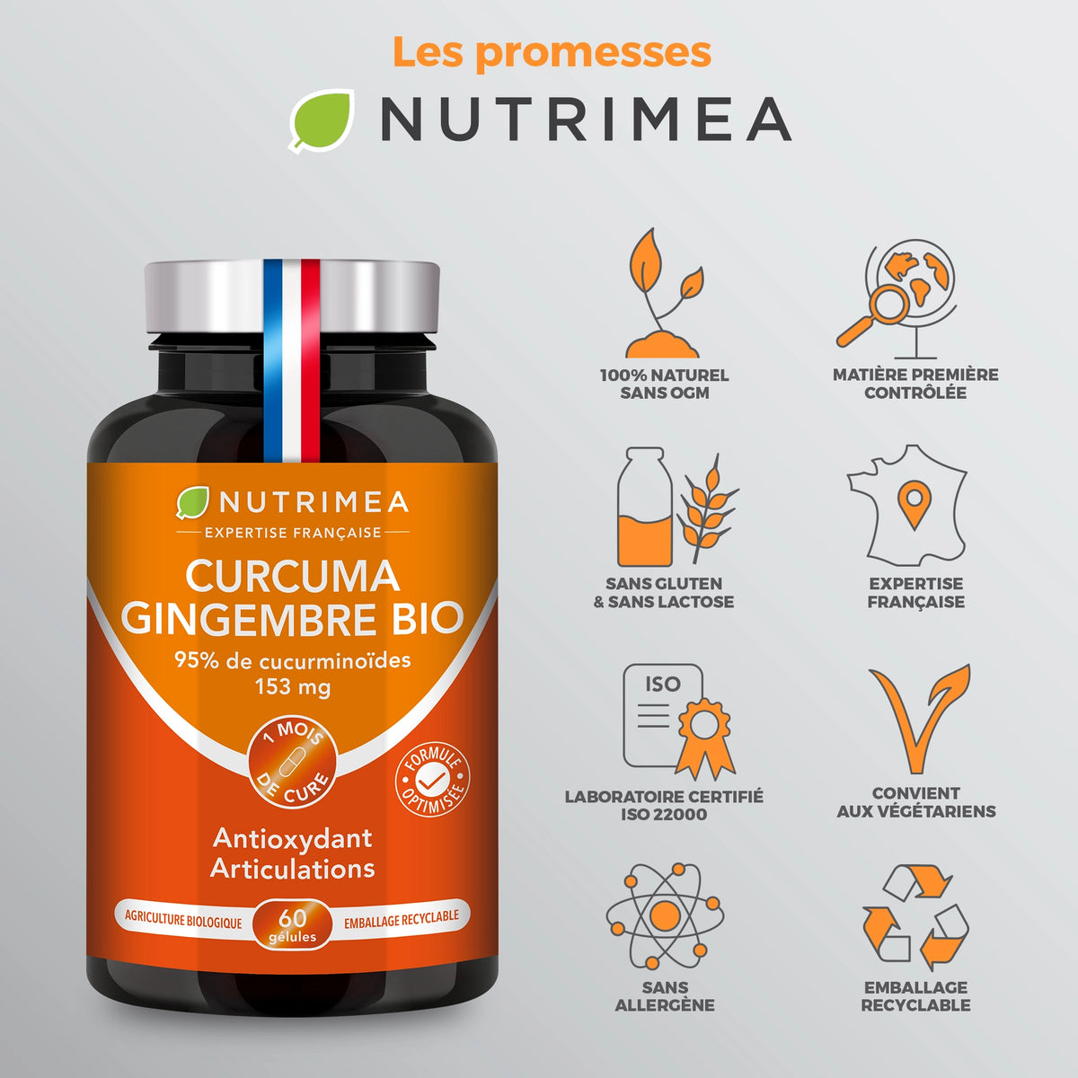 Curcuma Gingembre Bio