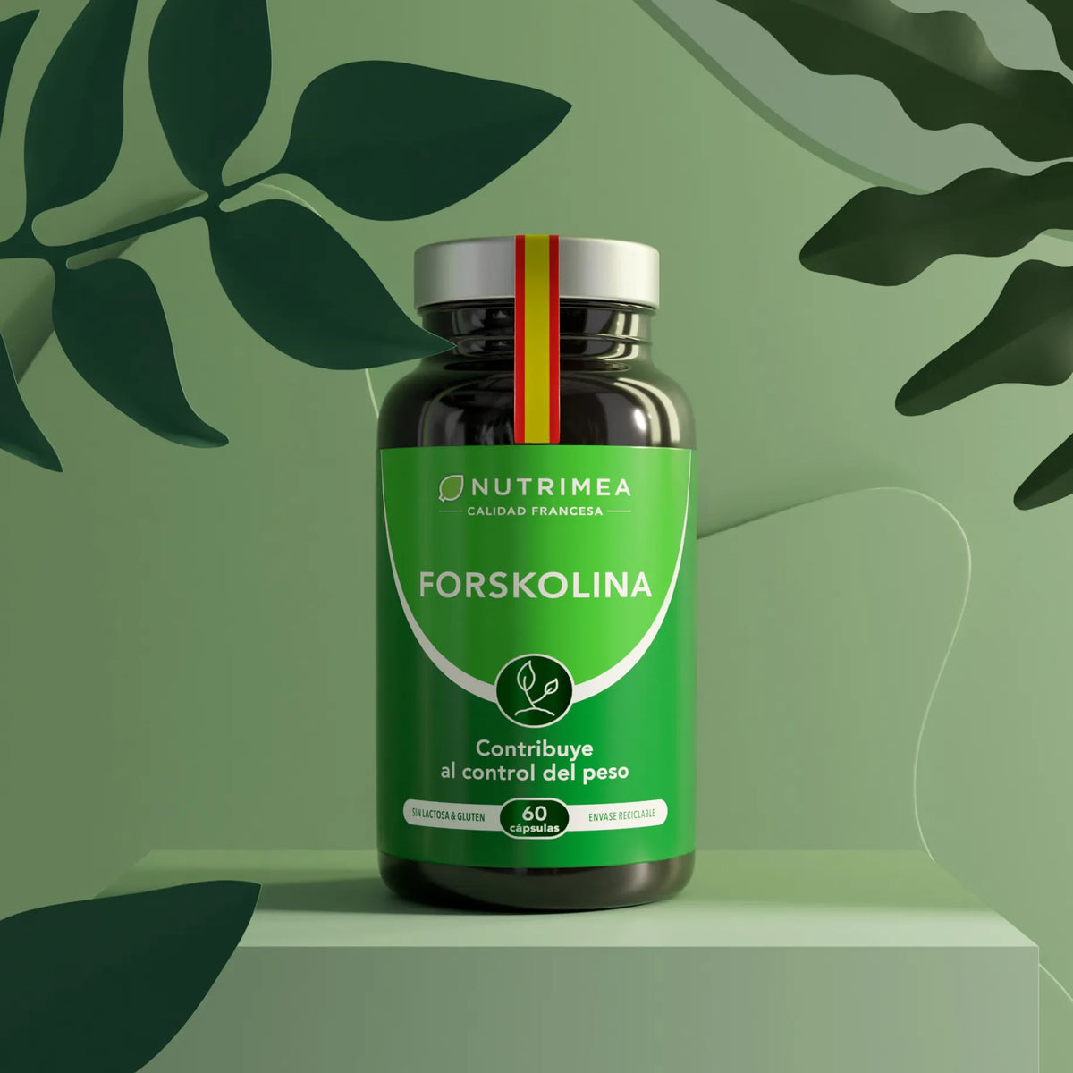 Forskolina | Coleus Forskohlii