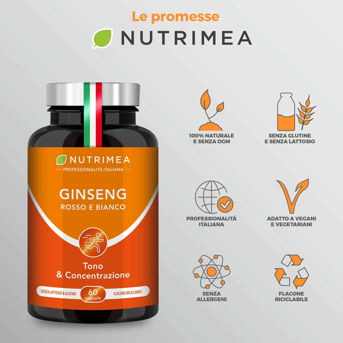 Ginseng - Panax Ginseng Rosso e Bianco