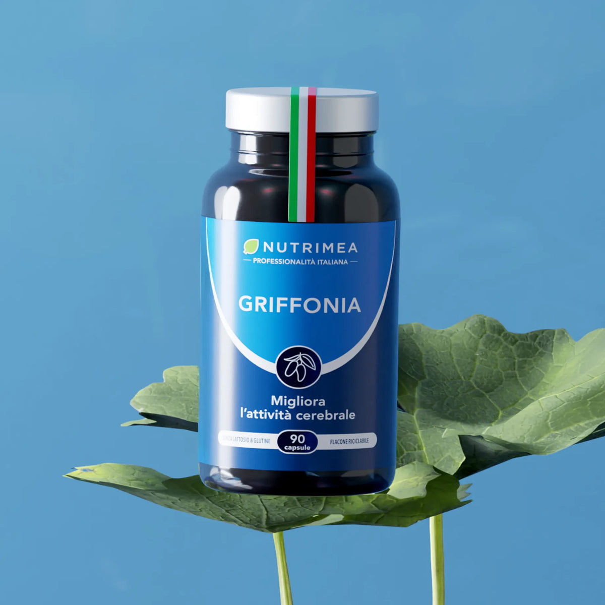 Griffonia Simplicifolia - 5HTP