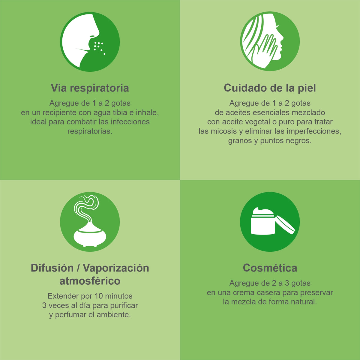 Árbol de Té