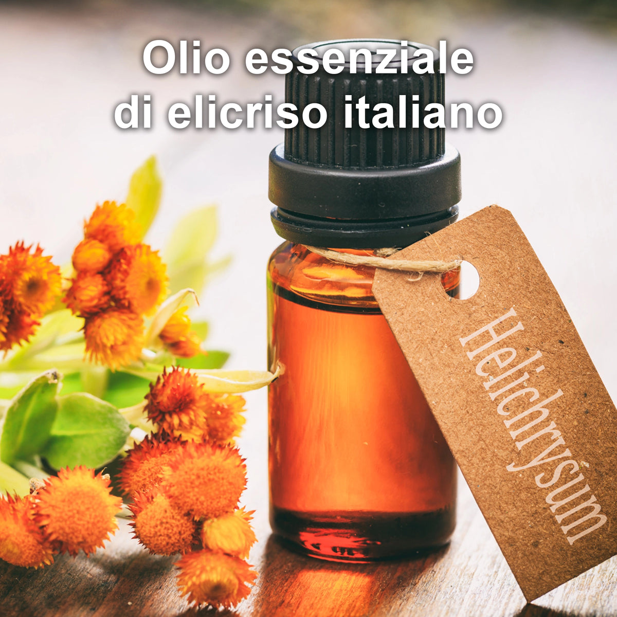 Elicriso Italiano
