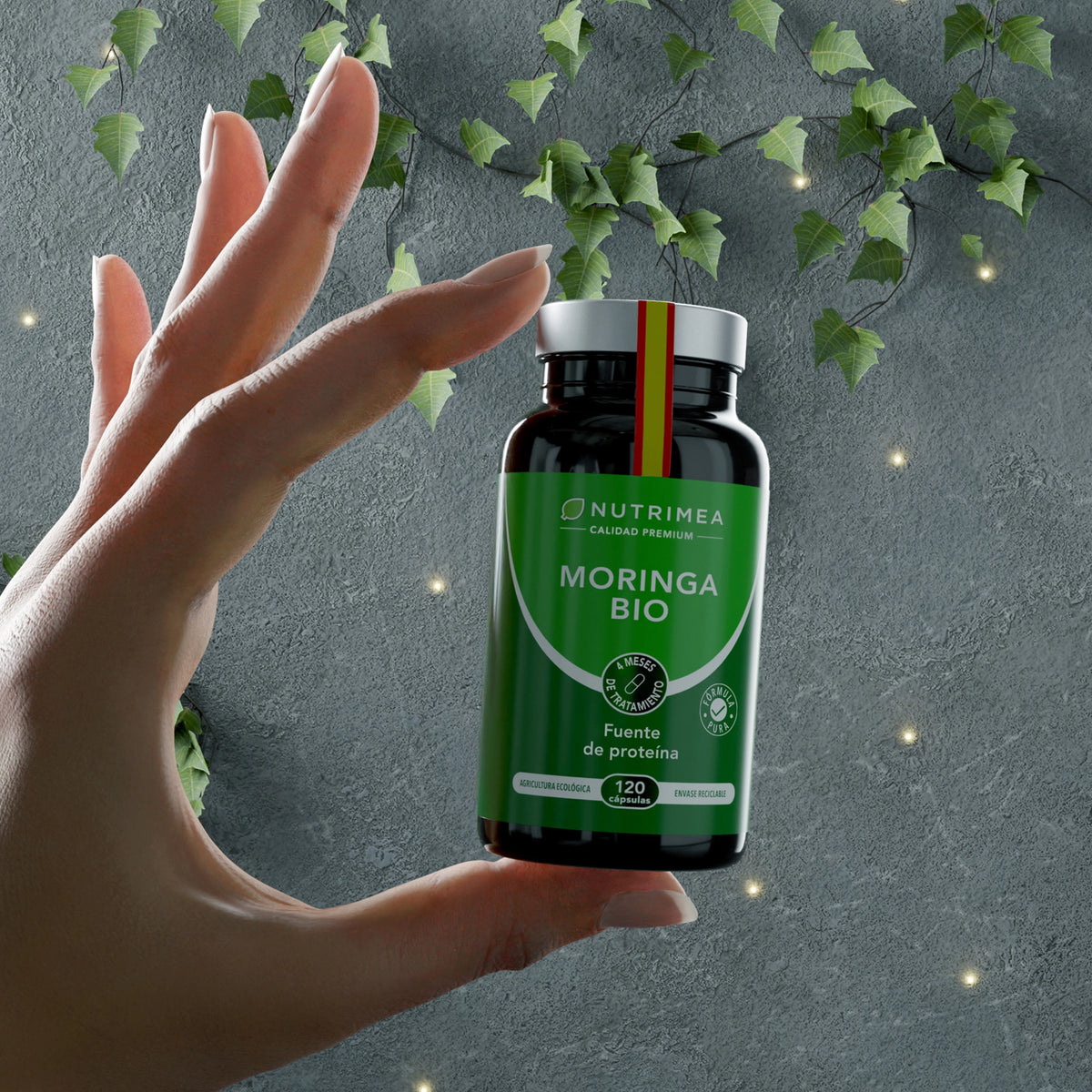 Moringa Oleifera Bio