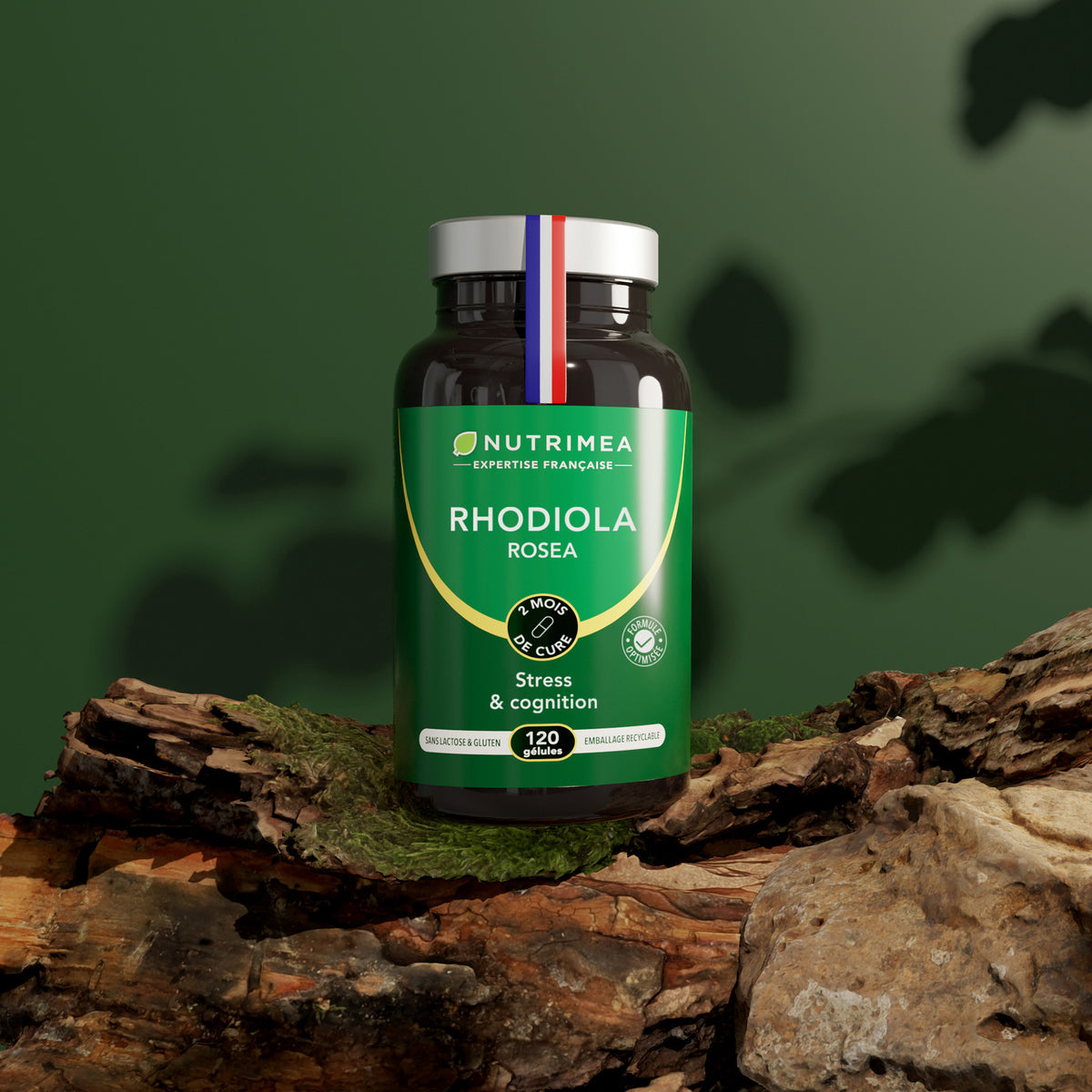 Rhodiola en complément alimentaire