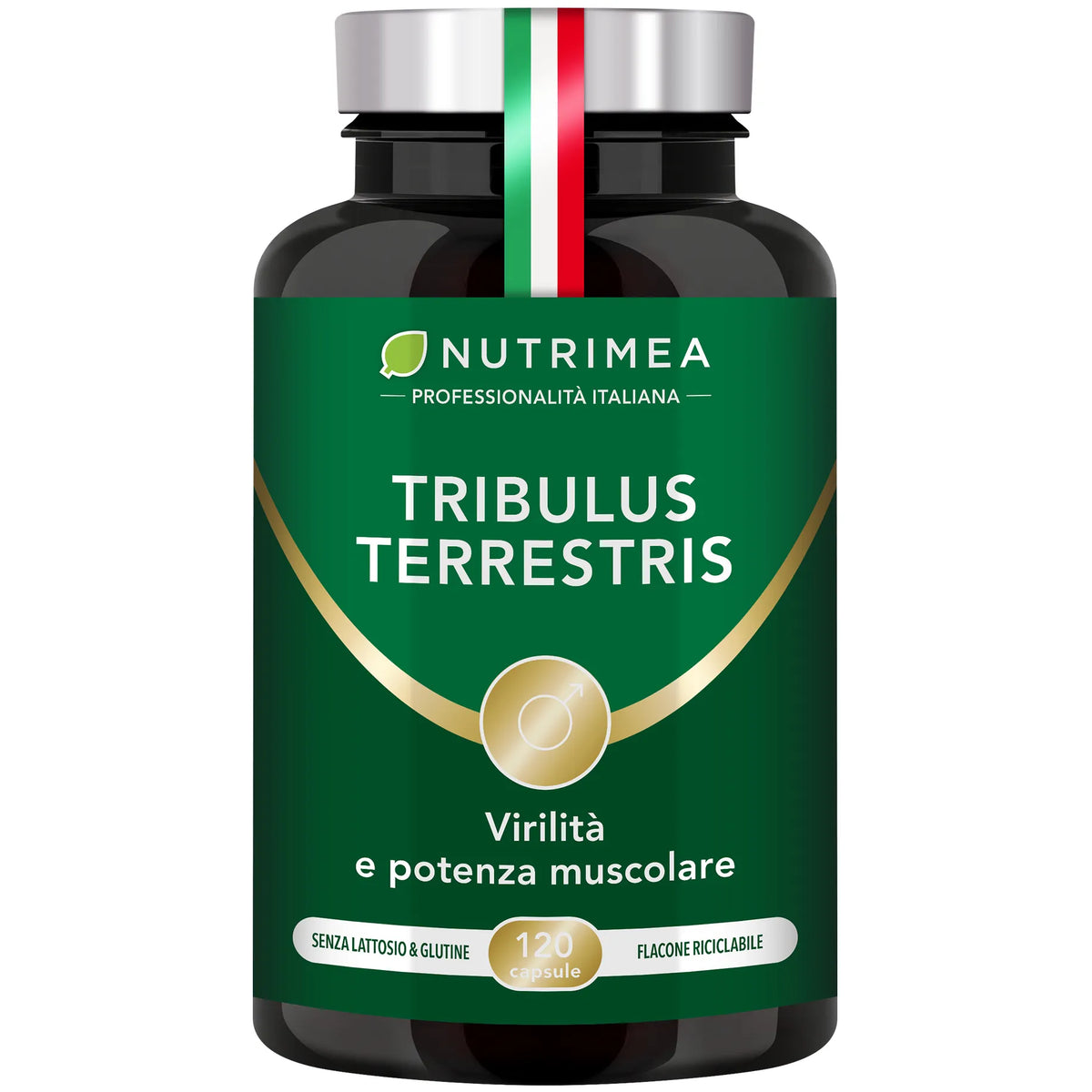 Fondo bianco del Tribulus Terrestris
