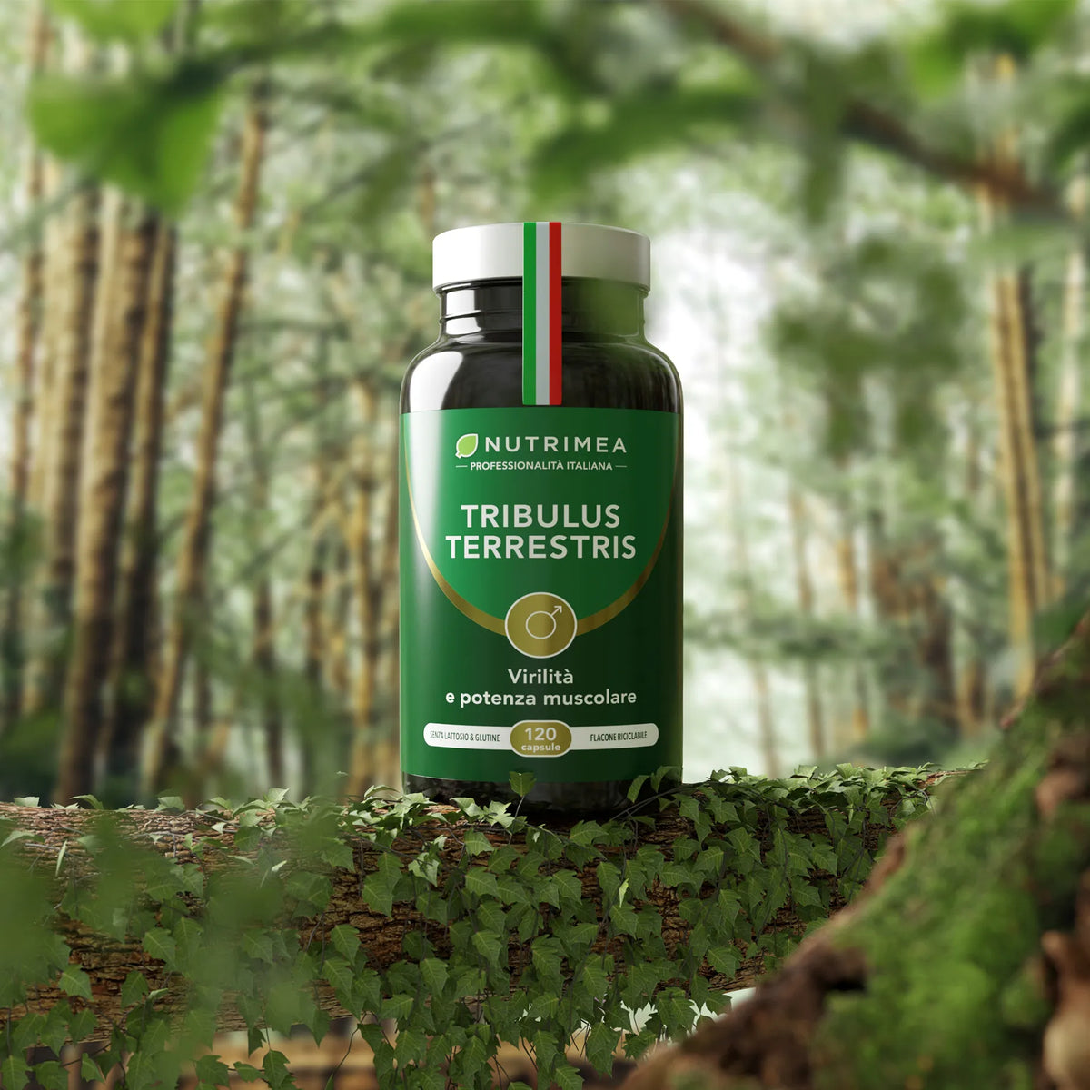 integratore alimentare Tribulus Terrestris