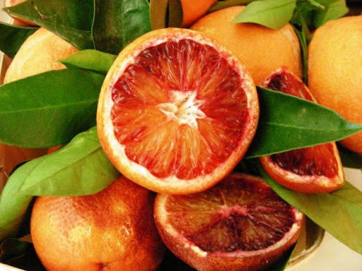 Morosil Nutrimea