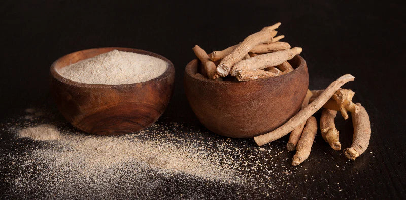Ashwagandha musculation