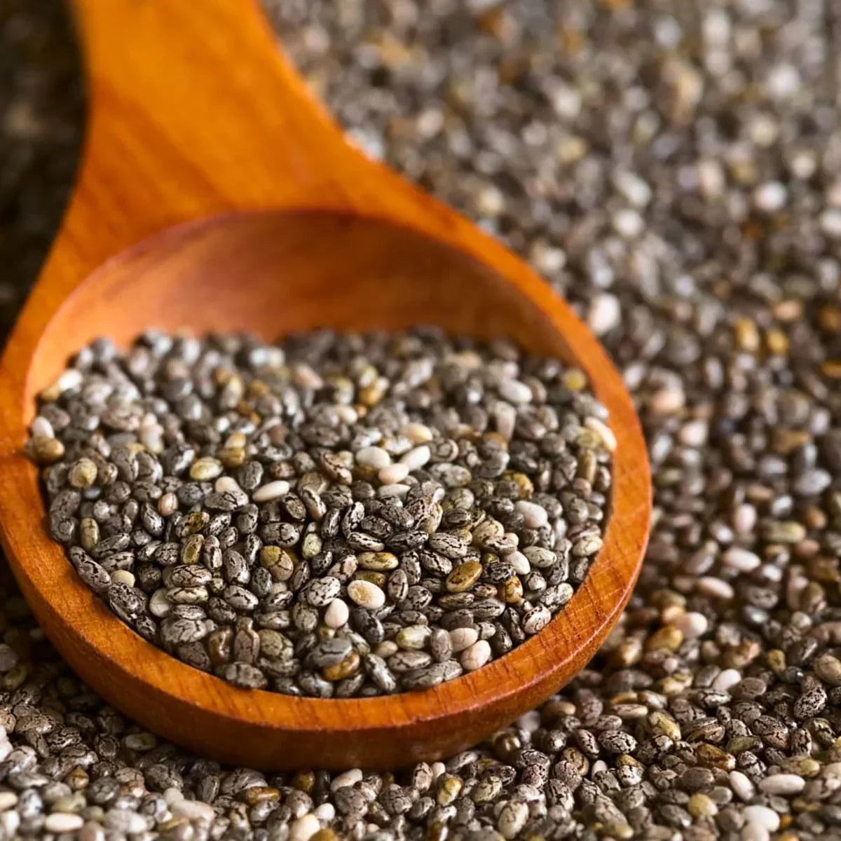 Gaines de Chia Nutrimea