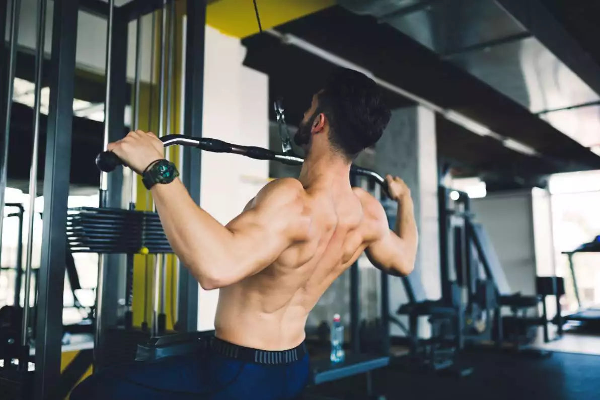 L'utilité du Tribulus Terrestris en musculation et dans le sport