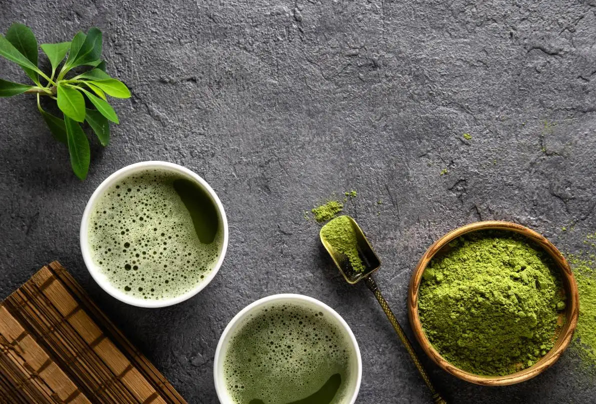 Moringa Allaitement Nutrimea