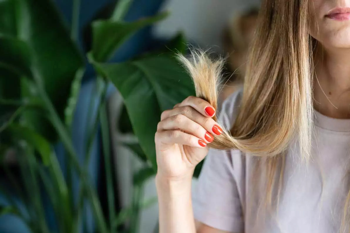 Quelles sont les vertus de l’huile d’onagre pour les cheveux ?