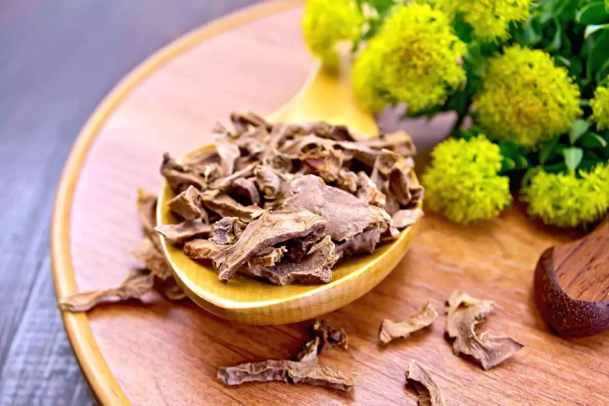 La Rhodiole (dit Rhodiola ou Orpin rose) : Une plante adaptogène aux multiples facettes