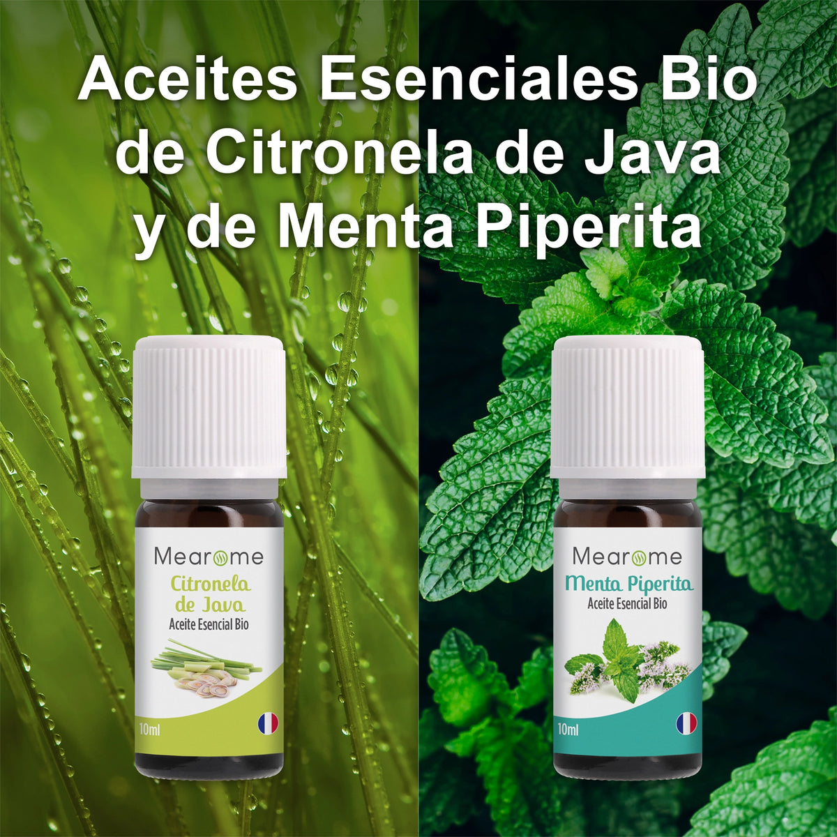Set de 8 aceites esenciales Bio