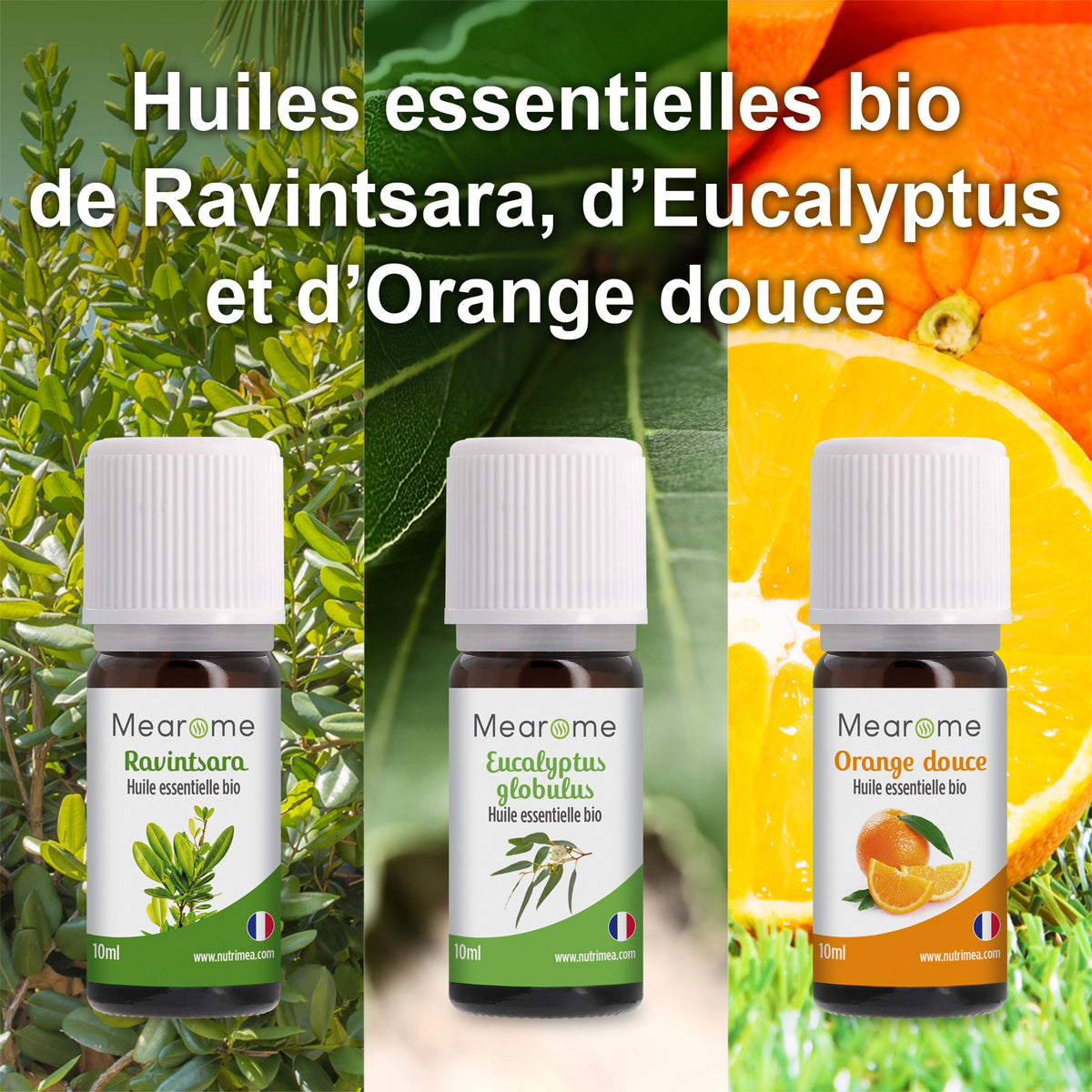 Coffret Plénitude - 8 Huiles Essentielles BIO