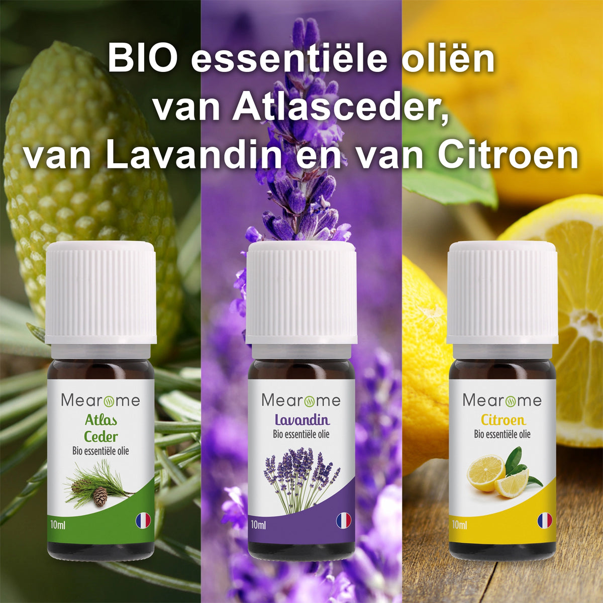 COFFRET PLENITUDE NL