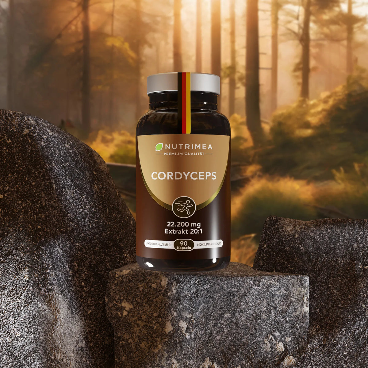 Cordyceps - Chinesischer Raupenpilz