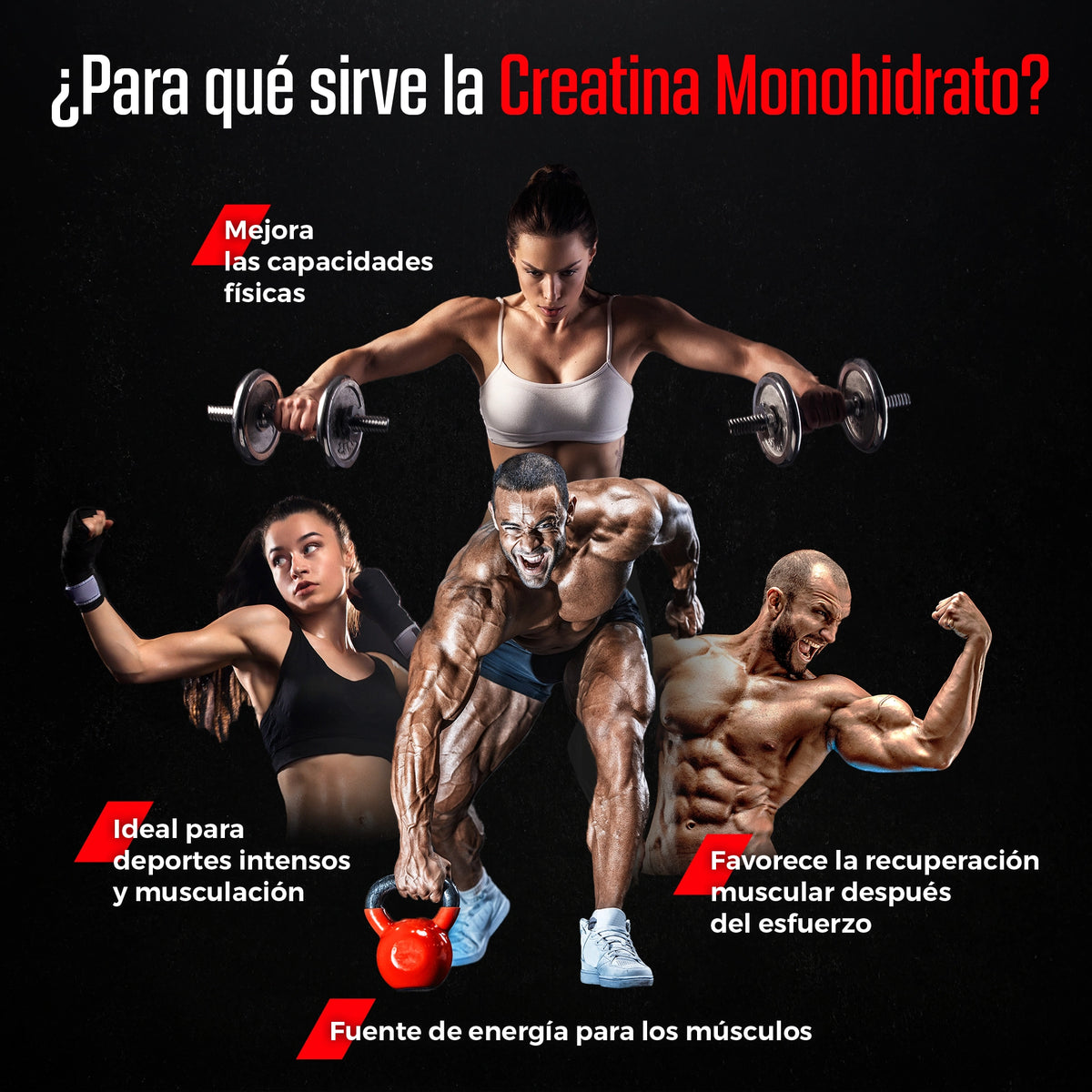 Creatina Monohidrato Creapure® en polvo