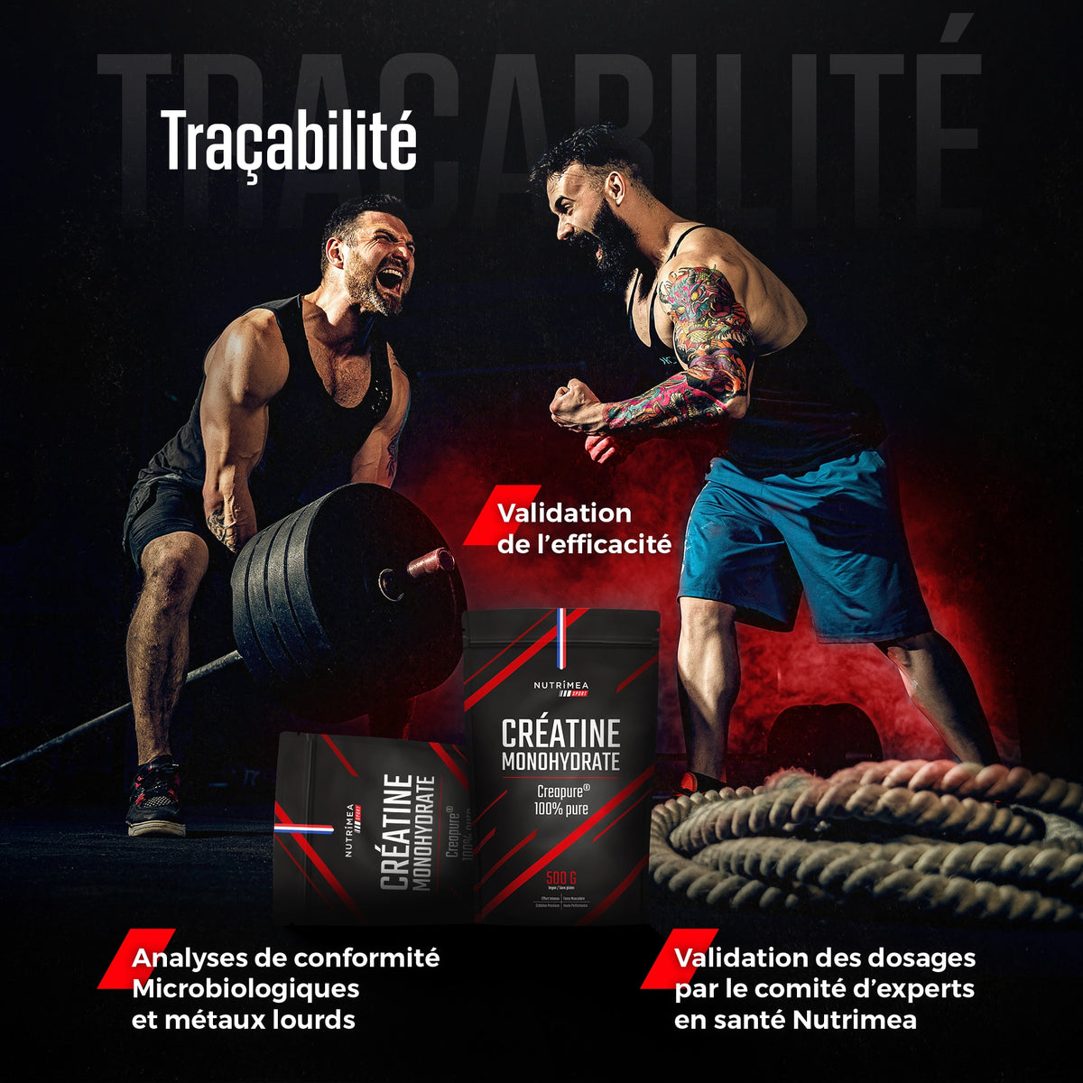 Créatine Monohydrate Creapure® en Poudre 500 g