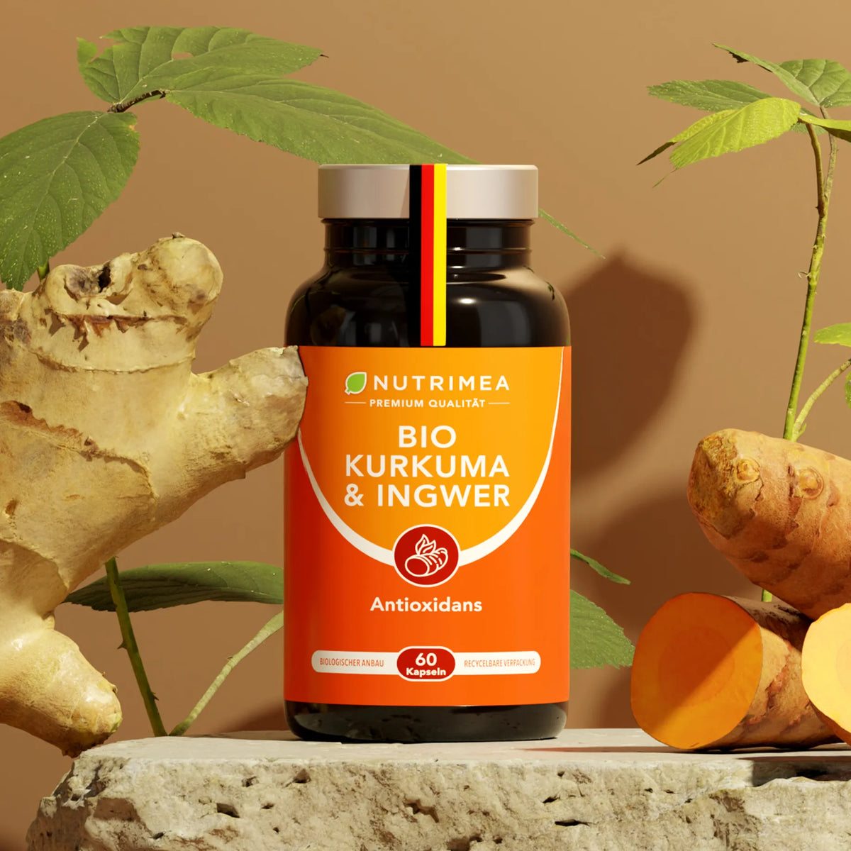 Kurkuma & Ingwer BIO