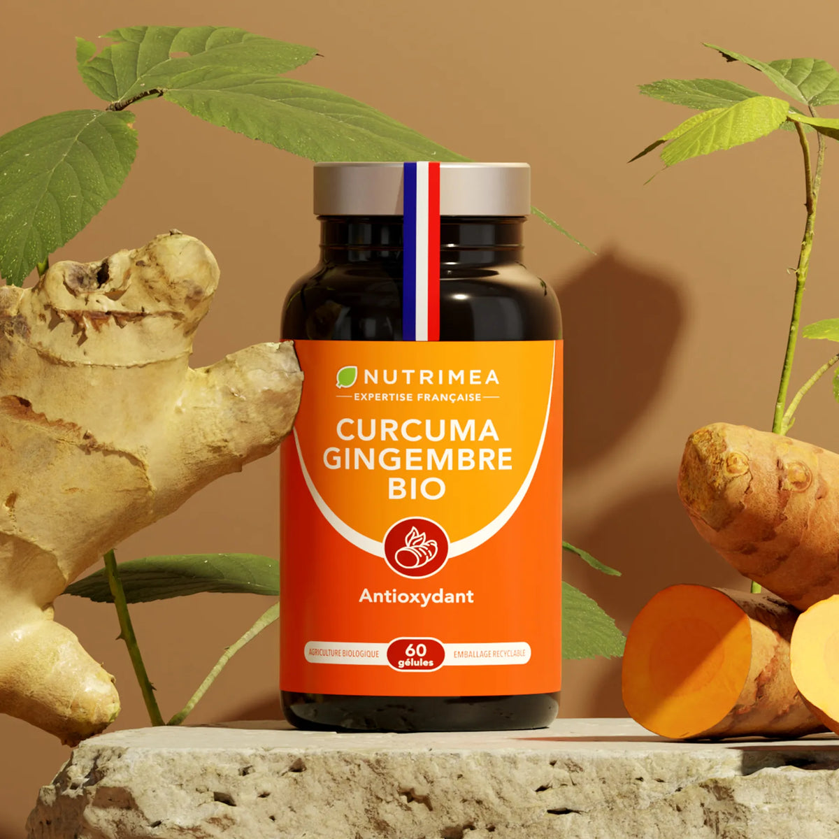 curcuma en complément alimentaire