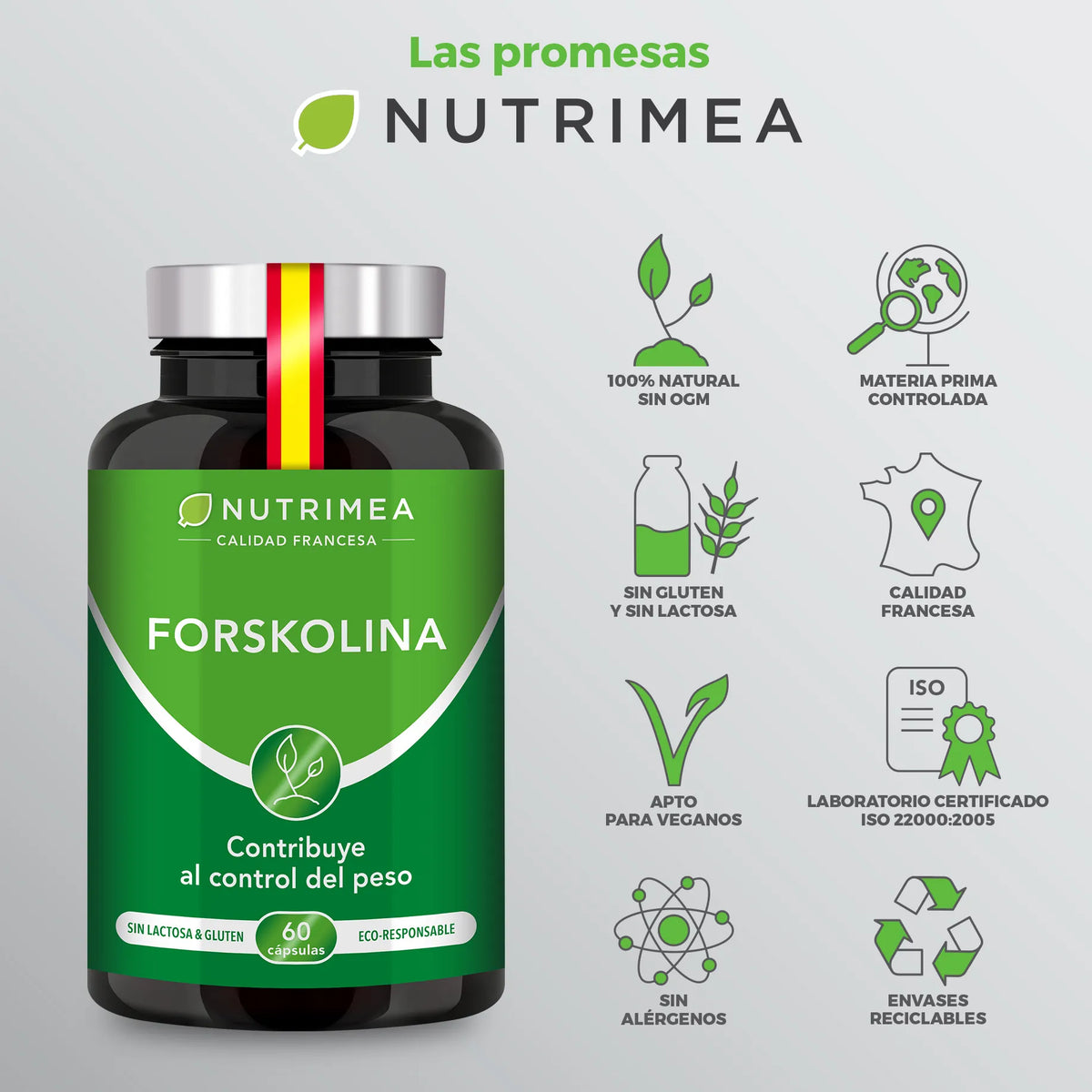 Forskolina | Coleus Forskohlii