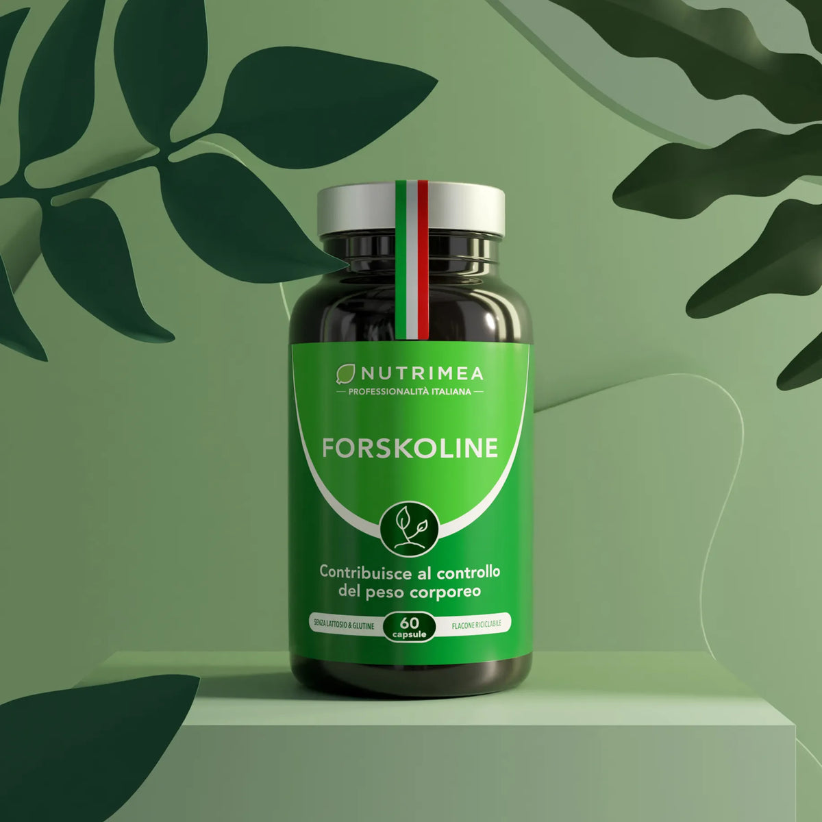 integratore alimentare Forskoline