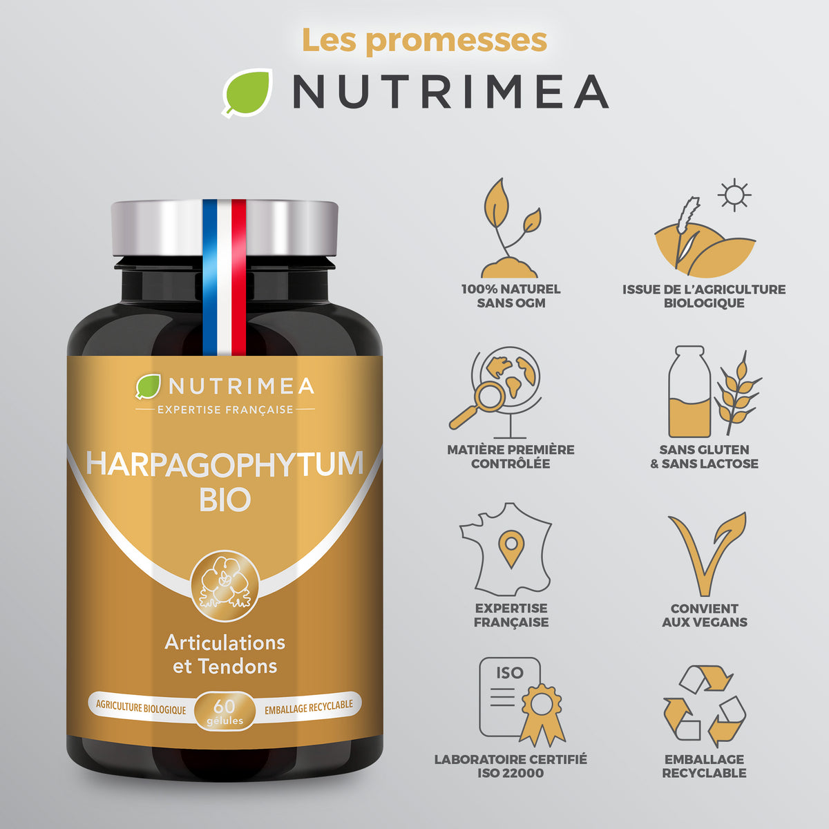 Harpagophytum Bio en complément alimentaire