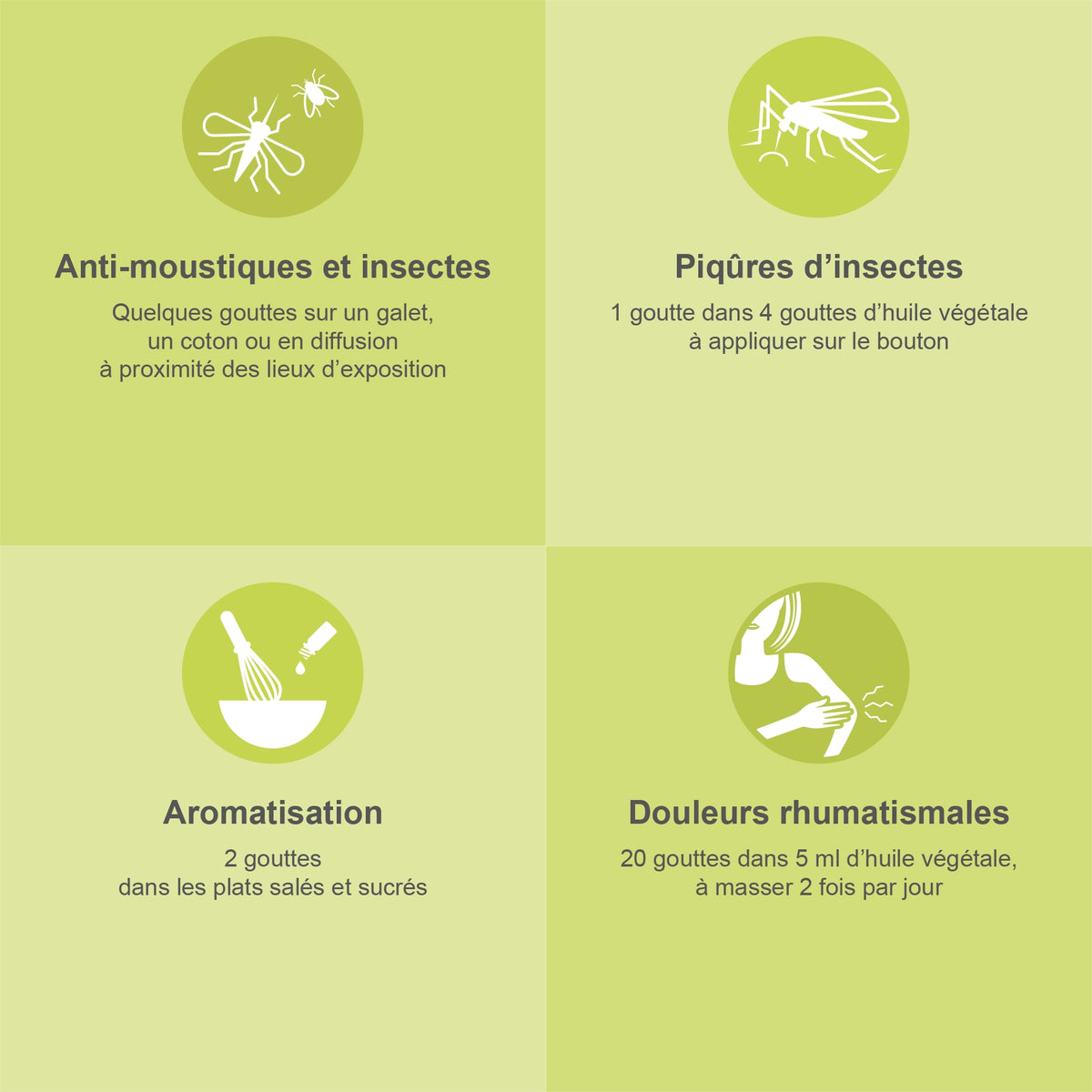 CITRONNELLE DE JAVA – Huile Essentielle Bio AB - 30ML