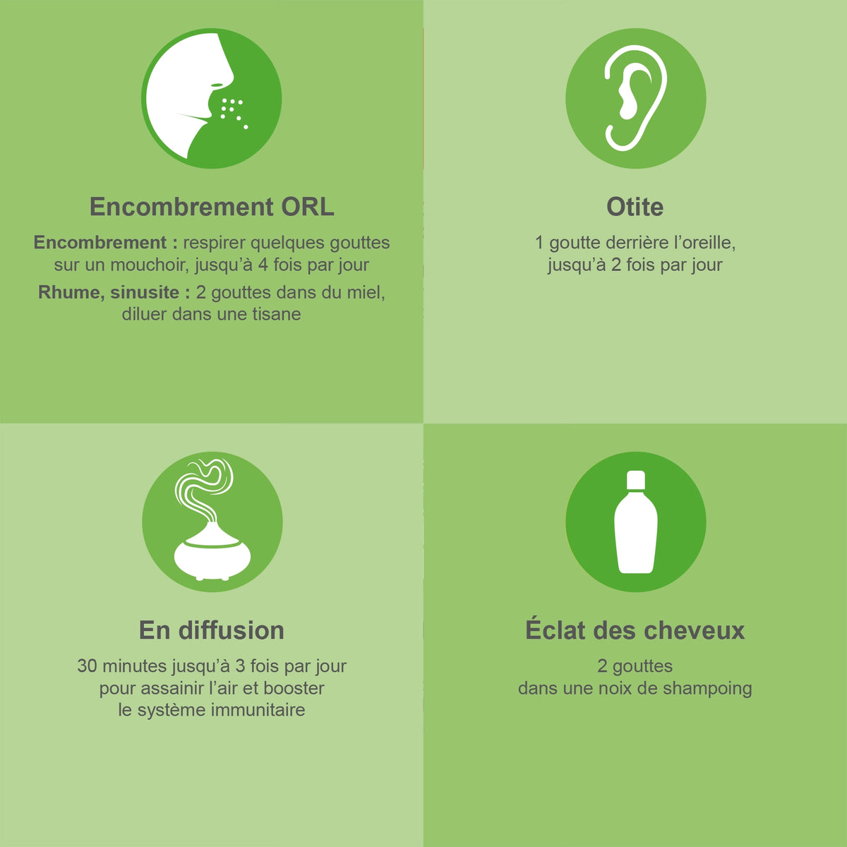 EUCALYPTUS RADIATA - Huile Essentielle Bio AB 30 ml