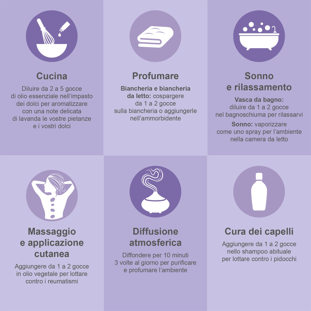 Lavanda biologica