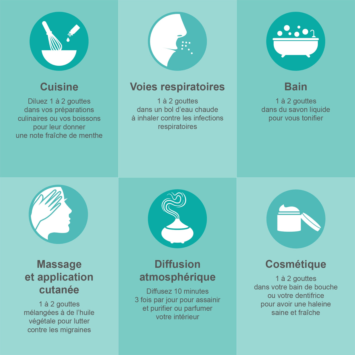 MENTHE POIVRÉE - Huile Essentielle BIO AB - 30ML
