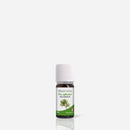 PIN SYLVESTRE - Huile Essentielle BIO AB 10 ml