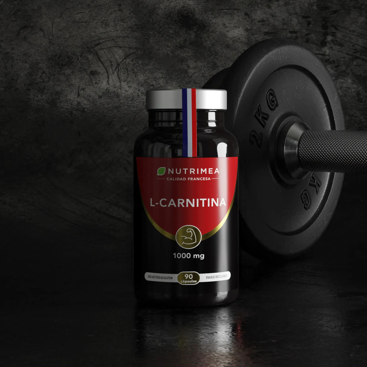 L- Carnitina