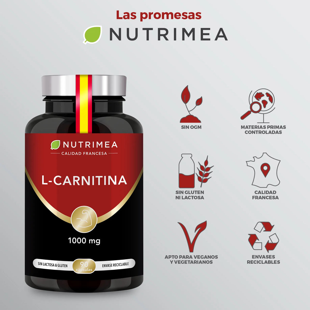 L- Carnitina