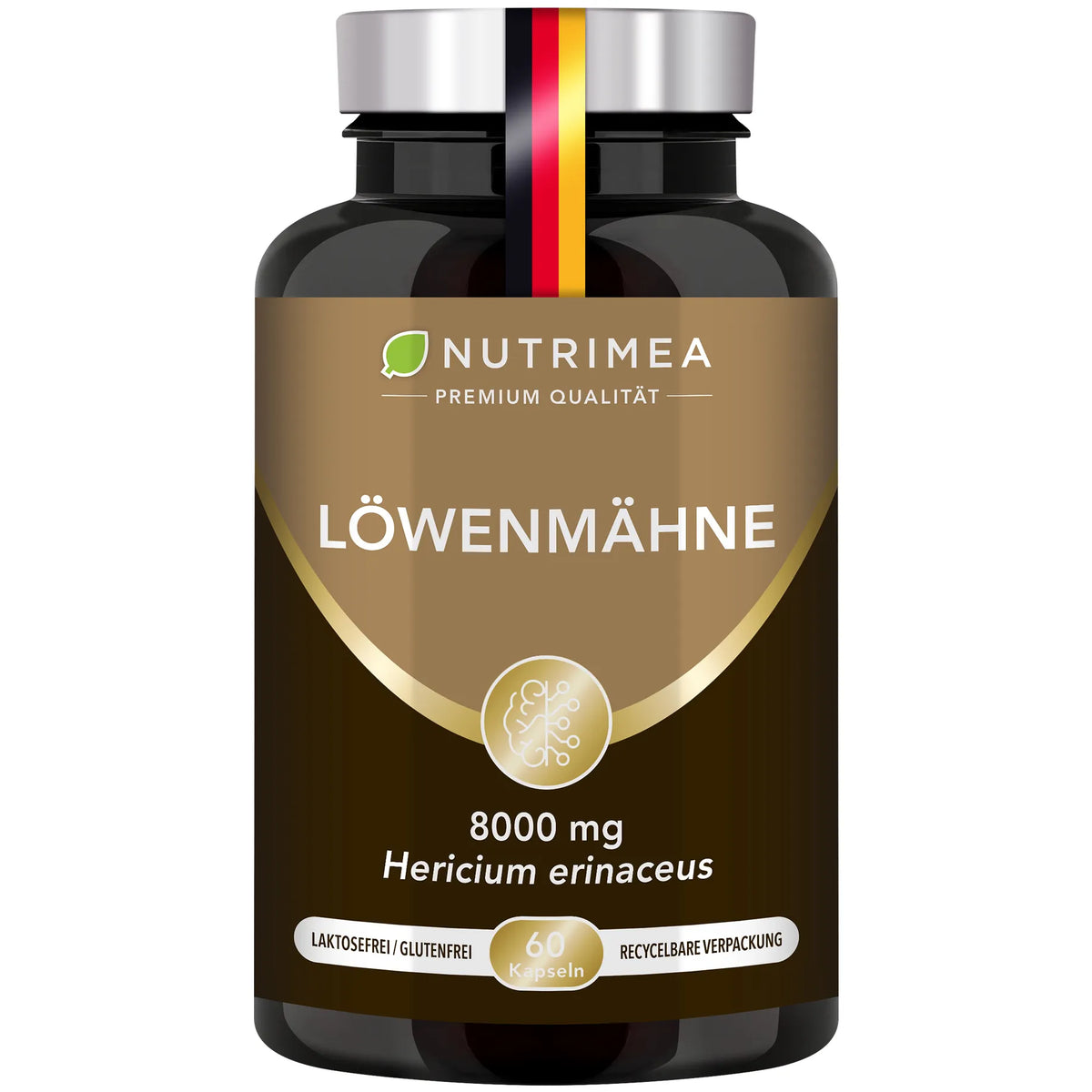 Löwenmähne (Hericium erinaceus) - Igelstachelbart