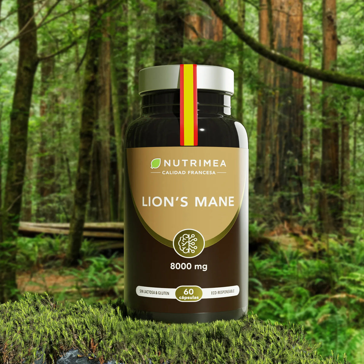 Lion's Mane
