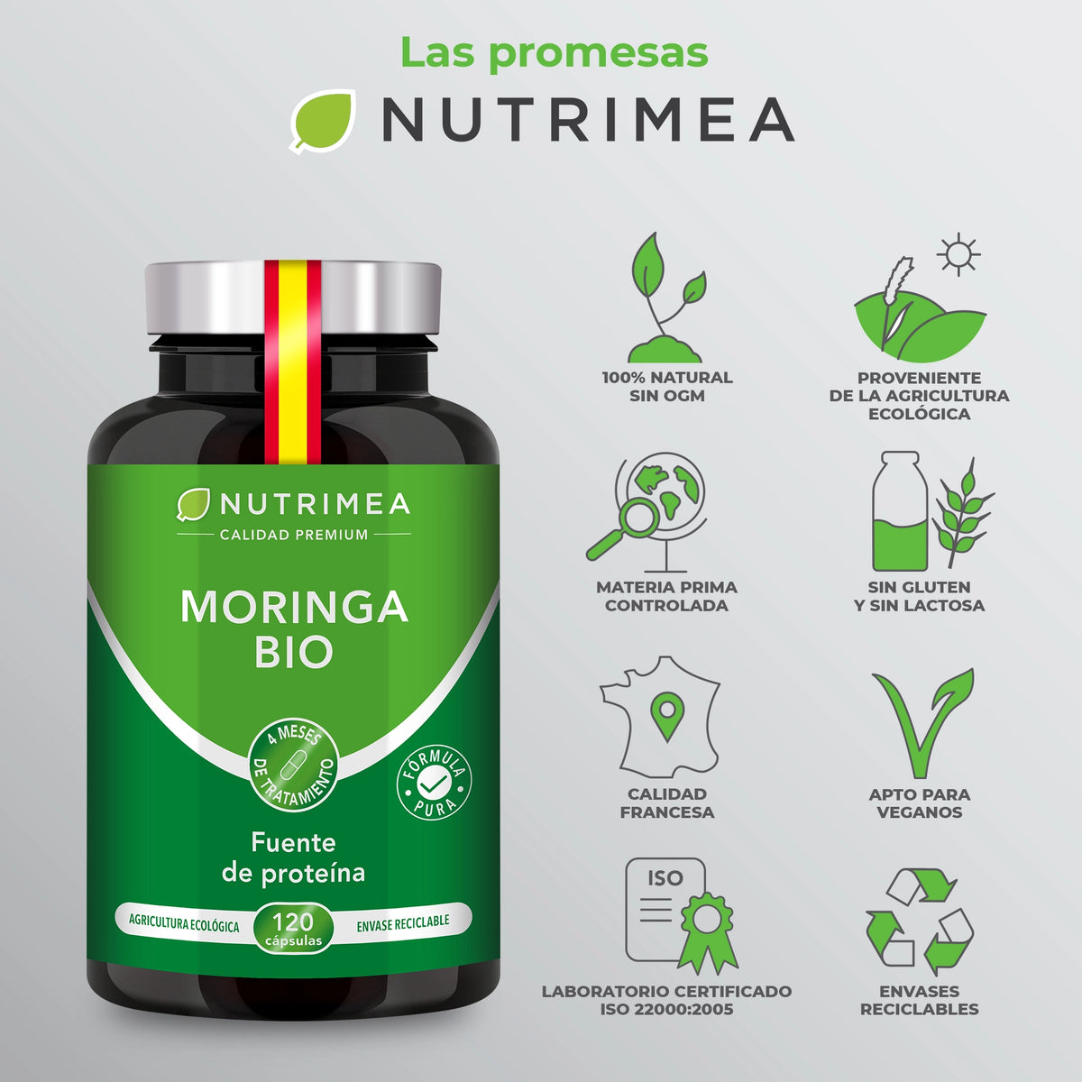 Moringa  Oleifera Bio