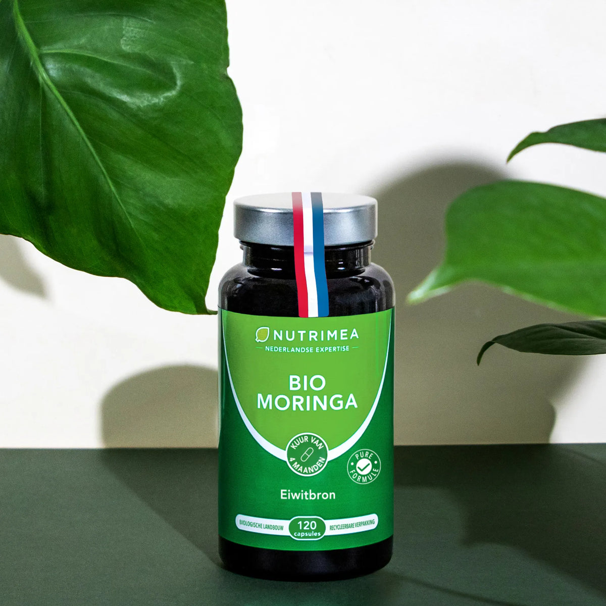 Biologische Moringa