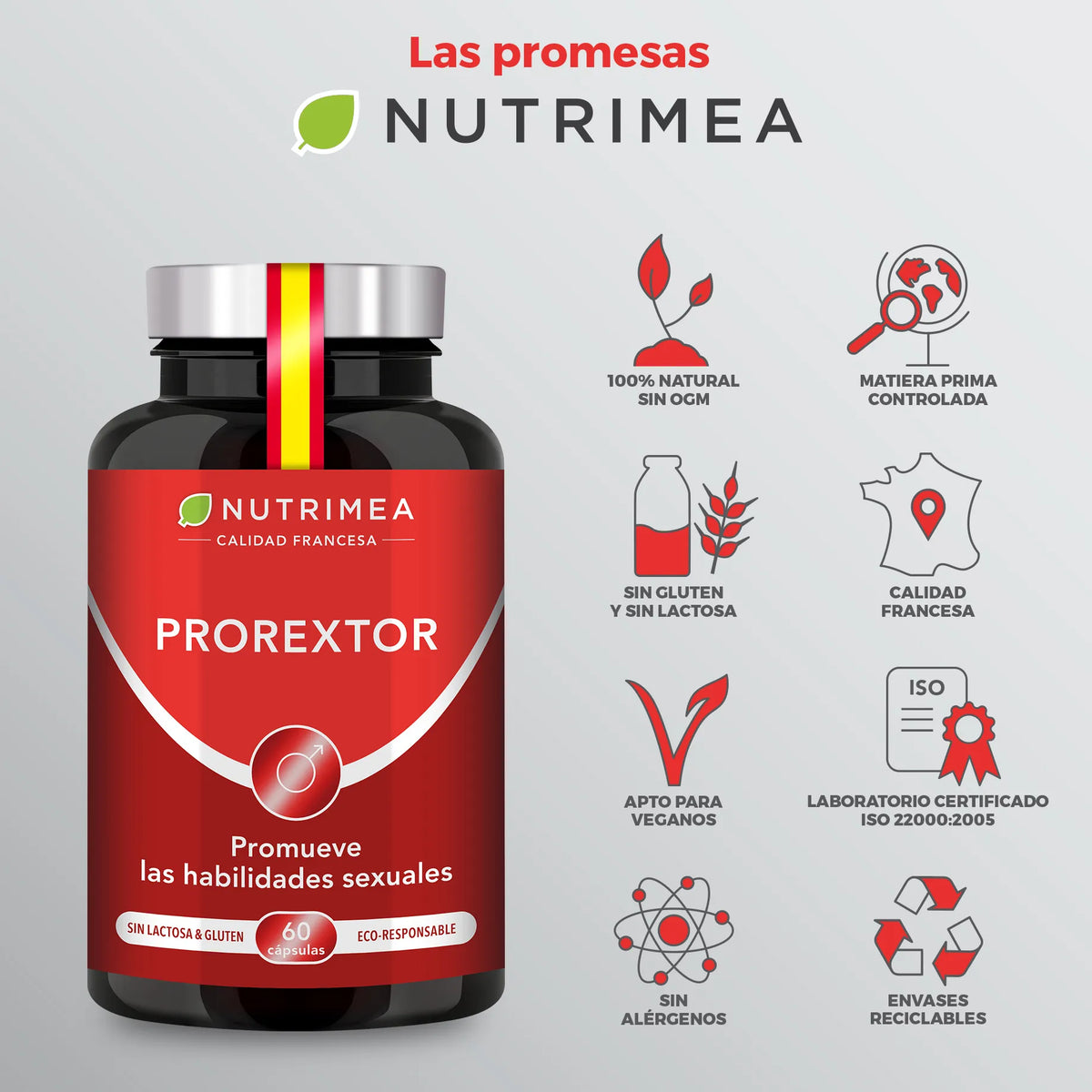 Prorextor